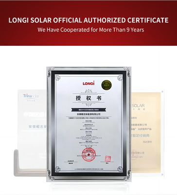 Longi HiMO 7 dubbelglas zonnepaneel 610w 620w 585W 595W 605W voor zonne-energiesysteem