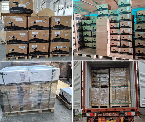 48V Input Voltage Growatt SPF 6000 ES Plus 5kW Off Grid Inverter voor uw bedrijf